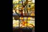 Kalamunda Library window ,  Banksia at western end. (1987)